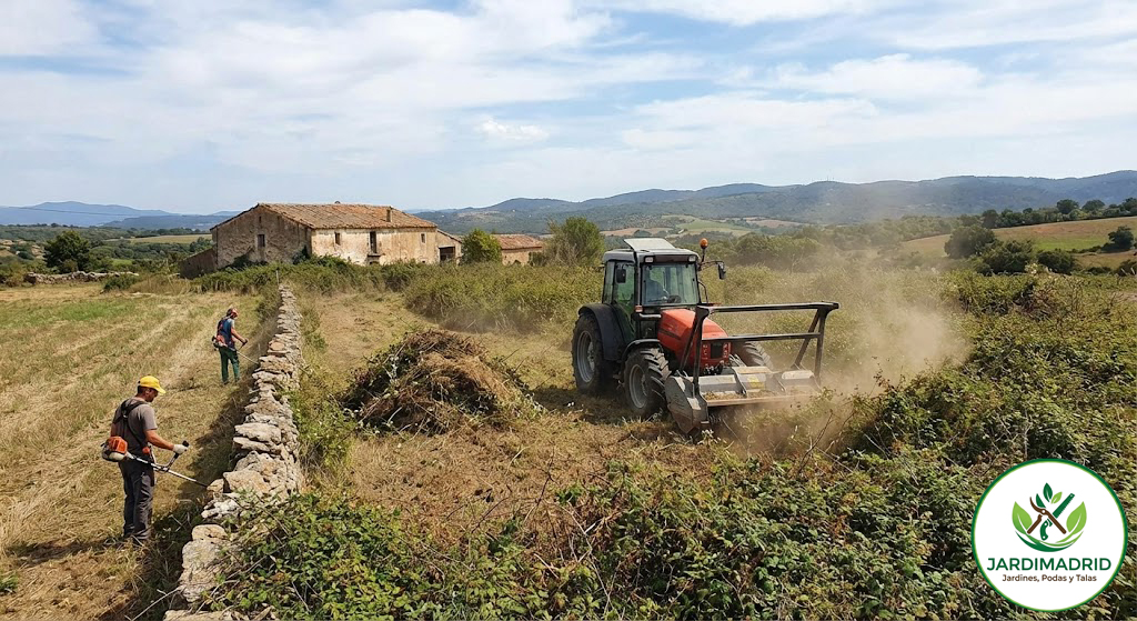 Desbroces de Fincas en Madrid